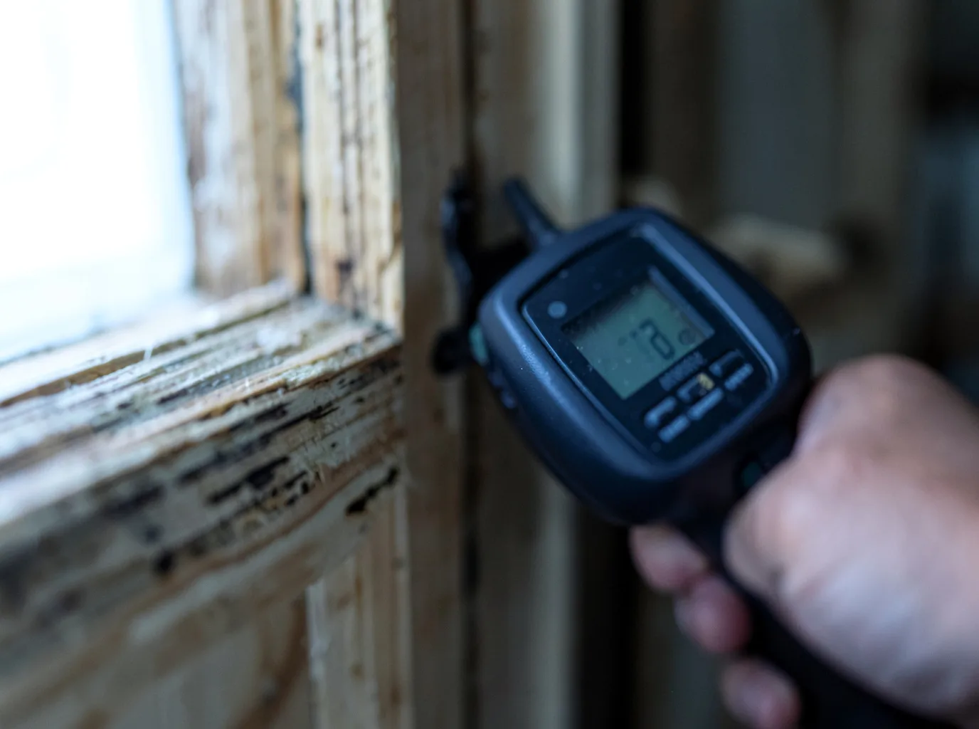 Moisture Inspection And Documentation in Reevesville, SC